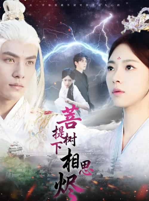 菩提树下相思烬（63集全）文渊＆崔一梁-搜外项目网