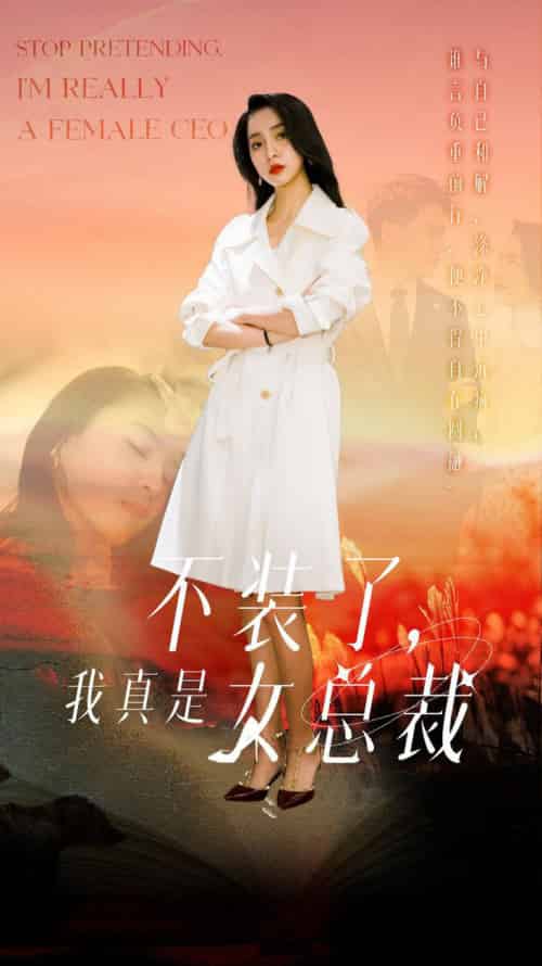 不装了,我真是女总裁(91集全)宋彧佳-搜外项目网