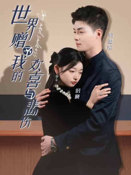 世界赠予我的欢喜与悲伤（60集全）申阳＆李澳雯-搜外项目网