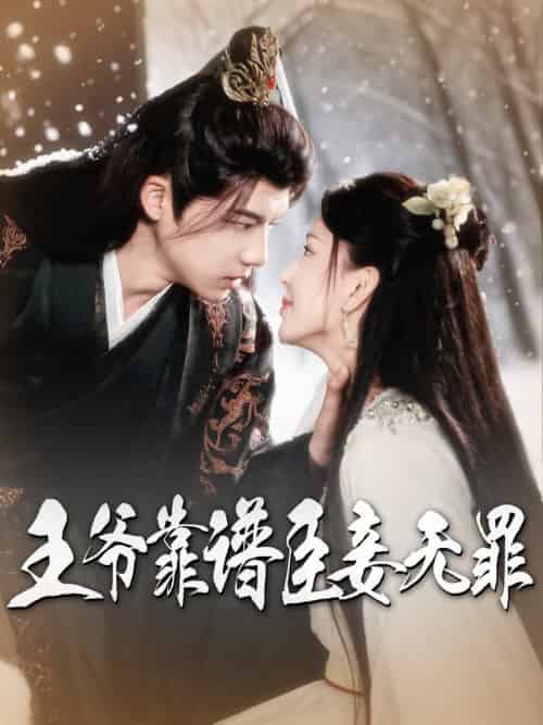 王爷靠谱臣妾无罪(89集全)黄子淇&马蕊-搜外项目网