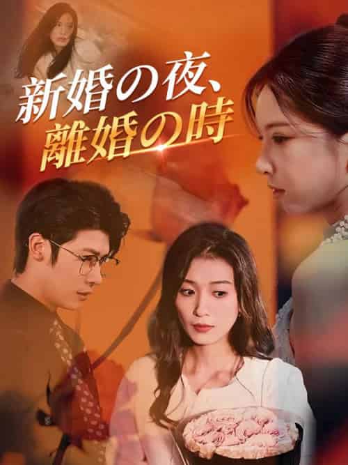 糟糕！穿成虐文女主了 英语（90集全）-搜外项目网