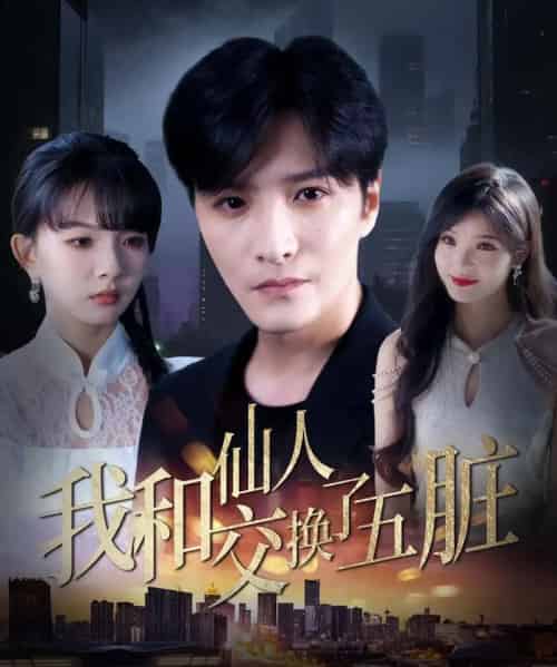 我和仙人交换了五脏(80集)陈含&陈思宇-搜外项目网