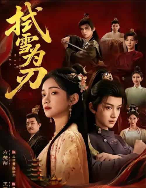 拭雪为刃（85集全）方楚彤＆王夏桥-搜外项目网