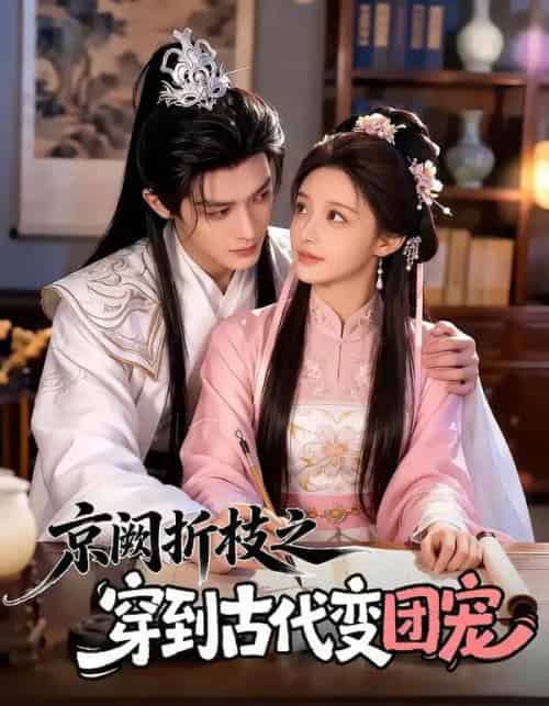 京阙折枝之穿到古代变团宠(60集全)AI-搜外项目网