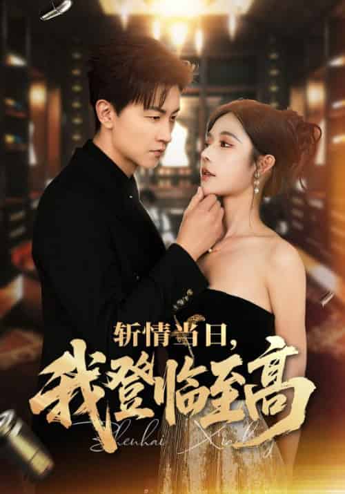 斩情当日，我登临至高＆斩情当日我登临至高（69集全）王鹏＆苏西＆杨晴-搜外项目网