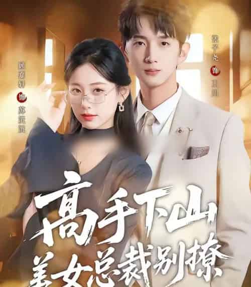 高手下山美女总裁别撩（82集全）顾嘉轩＆张子尧-搜外项目网