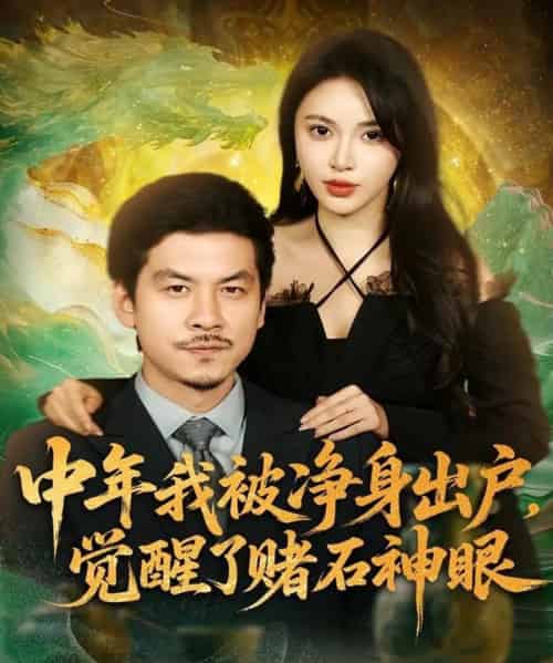 中年我被净身出户，觉醒了赌石神眼（80集全）柯珂（柯以）＆王辉-搜外项目网