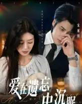 爱在遗忘中沉眠（62集全）张慧尧-搜外项目网