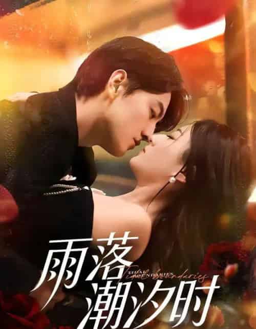 雨落潮汐时(74集全)屈扬&赵敏琪-搜外项目网