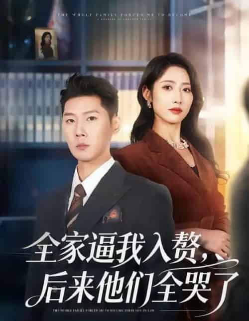 全家逼我入赘，后来他们全哭了（70集全）王炳翔＆张如意-搜外项目网
