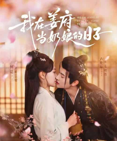 我在姜府当奶娘的日子（81集全）卢奂瑜＆何适-搜外项目网