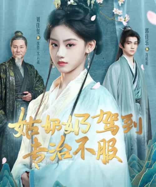 姑奶奶驾到专治不服（76集全）刘佳玺＆郭佳乐＆屈刚-搜外项目网