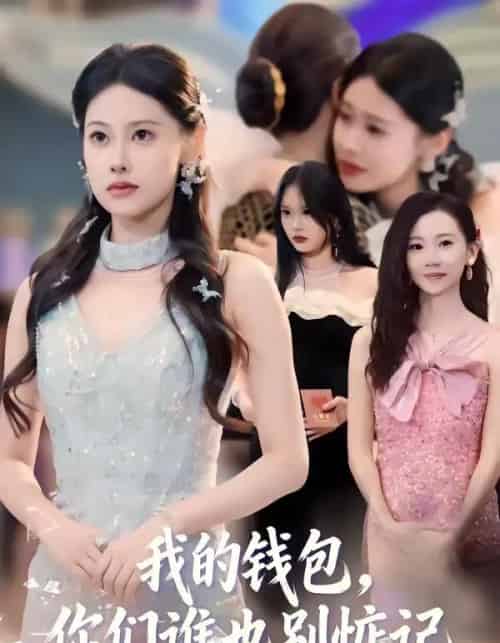我的钱包，你们谁也别惦记（56集全）李尤＆赵姝闻-搜外项目网