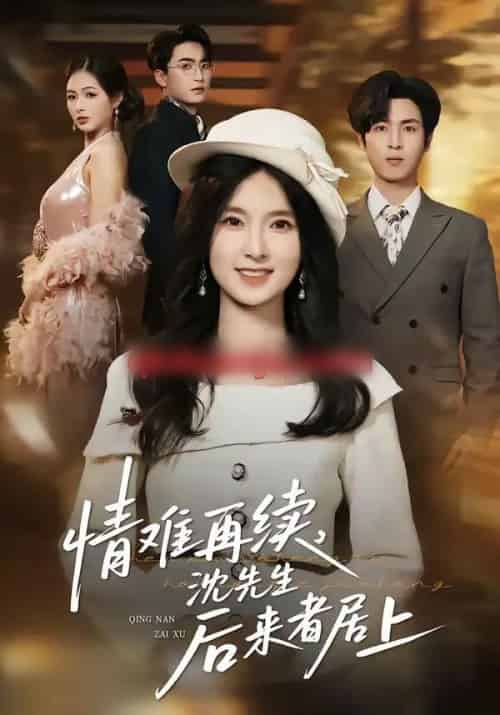 情难再续,沈先生后来者居上(36集全)白浩&曹梓玲-搜外项目网