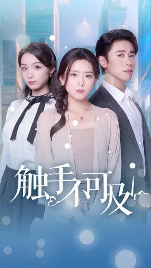 触手不可及(30集全)-搜外项目网