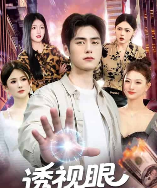 透视眼小医婿(108集全)张笑颜&王柯然-搜外项目网