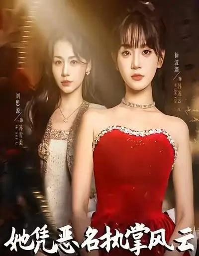 她凭恶名执掌风云&她凭恶名执掌风云(65集全)徐波滴(万喜)&刘思源-搜外项目网