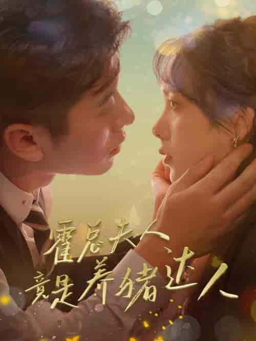 霍总夫人竟是养猪达人（65集全）赖艺-搜外项目网