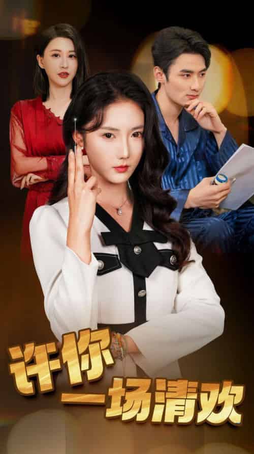 许你一场清欢（35集全）金鑫欣-搜外项目网