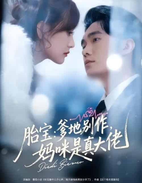 胎宝：爹地别作，妈咪是真大佬（60集全）宋哲伦＆张婉芳-搜外项目网