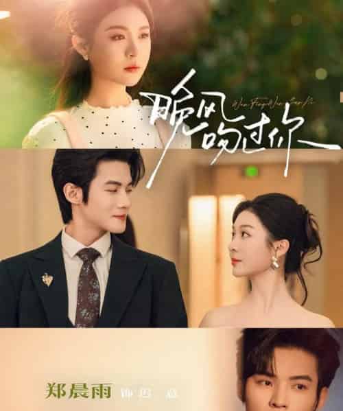 晚风吻过你（80集全）郑晨雨＆谢鸿鑫-搜外项目网