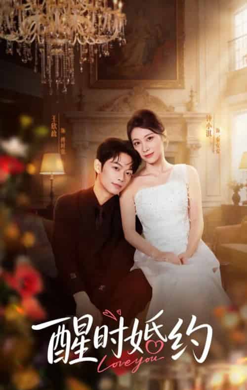 醒时婚约（65集全）王欣政＆钟小淇-搜外项目网