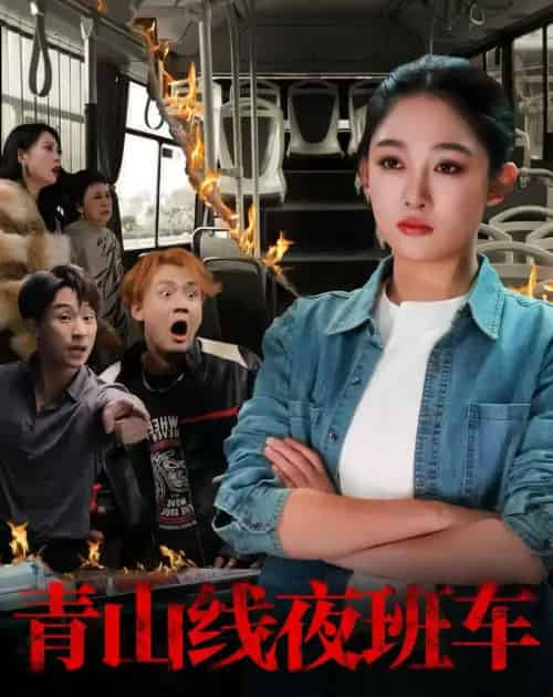 青山线夜班车（63集全）张亚迪＆魏战-搜外项目网