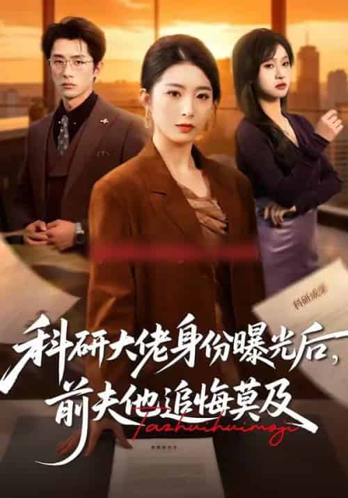 科研大佬身份曝光后，前夫他追悔莫及（50集全）肖琳＆大川-搜外项目网
