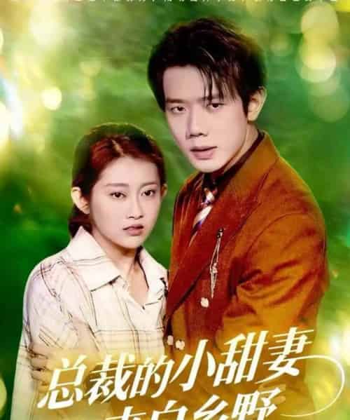 总裁的小甜妻来自乡野（127集全）何连飞＆崔馨心-搜外项目网