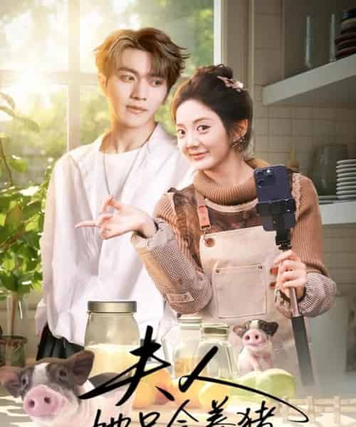 夫人她只会养猪(76集全)伍怡桥&马骁凡-搜外项目网