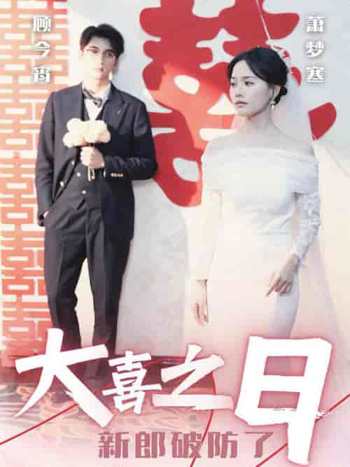 大喜之日新郎破防了（31集全）李思杨＆曹千祎-搜外项目网