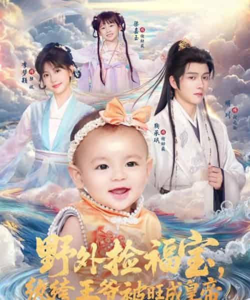 野外捡福宝，纨绔王爷被旺成皇帝（80集全）明川＆李梦颖-搜外项目网