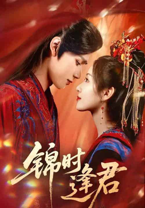 锦时逢君（55集）耿致忻＆岳玥-搜外项目网