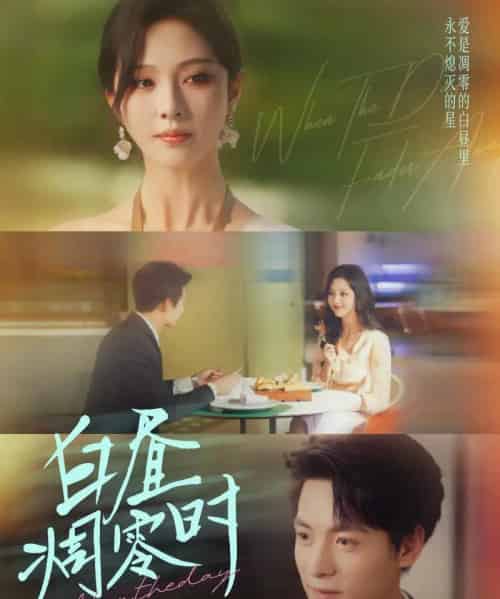 白昼凋零时（61集全）刘叁肆＆朱茉颜-搜外项目网