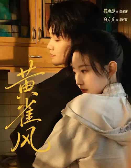 黄雀风（80集全）白方文＆韩雨彤-搜外项目网