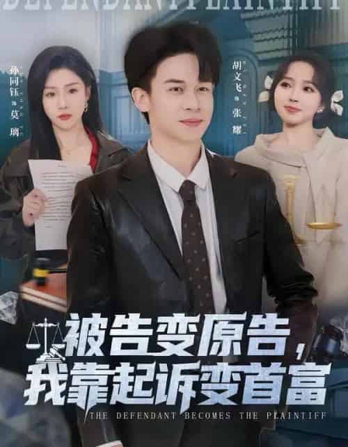 被告变原告，我靠起诉变首富（80集全）胡文飞＆孙同钰-搜外项目网