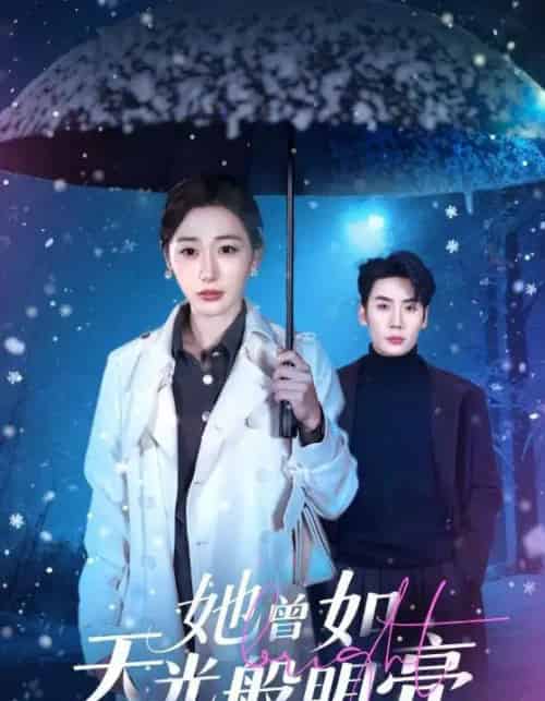 她曾如天光般明亮(70集全)刘博洋&刘亚倩-搜外项目网