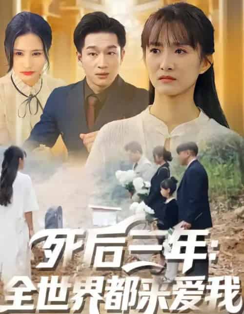 死后三年：全世界都来爱我（30集全）王斌超＆王楚-搜外项目网