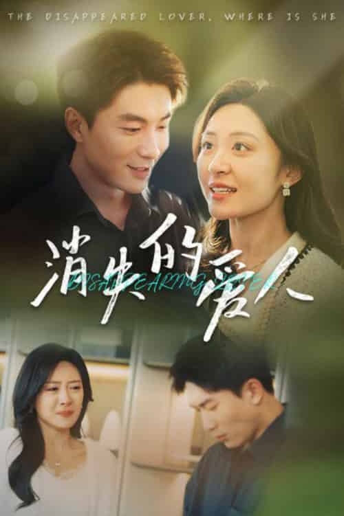 消失的爱人（40集）-搜外项目网