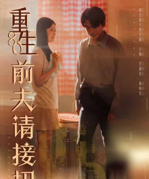 重生80前夫请接招（80集全）张美玲＆莫书铭-搜外项目网