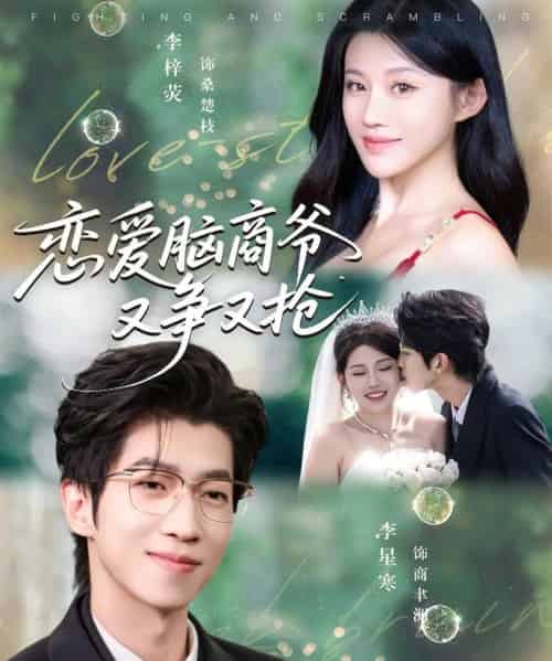 恋爱脑商爷又争又抢(80集全)李星寒&李梓荧-搜外项目网