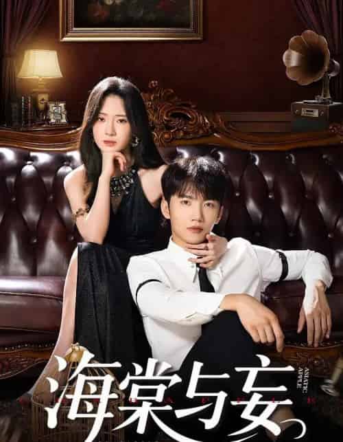 海棠与妄（81集）金佳遇＆诗越越＆王雷方＆李乐彤-搜外项目网