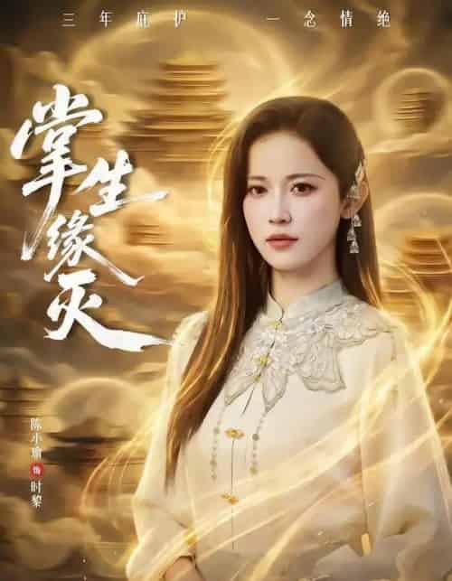 掌生缘灭（71集全）王不凡＆陈小瑜-搜外项目网