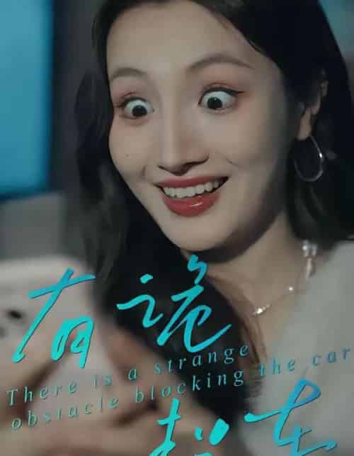 有诡拦车（32集全）何子茜＆陈柏桦-搜外项目网