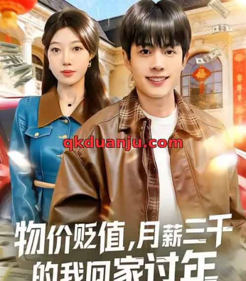 物价贬值,月薪三千的我回家过年(80集全)陶栩棋&史恒玮-搜外项目网