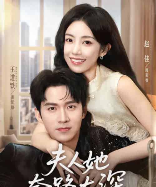 夫人她套路太深（81集）赵佳＆王道铁-搜外项目网