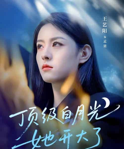 顶级白月光她开大了（78集）王艺阳＆何连飞-搜外项目网