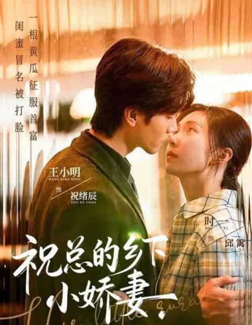 祝总的乡下小娇妻（79集全）时一＆王小明-搜外项目网