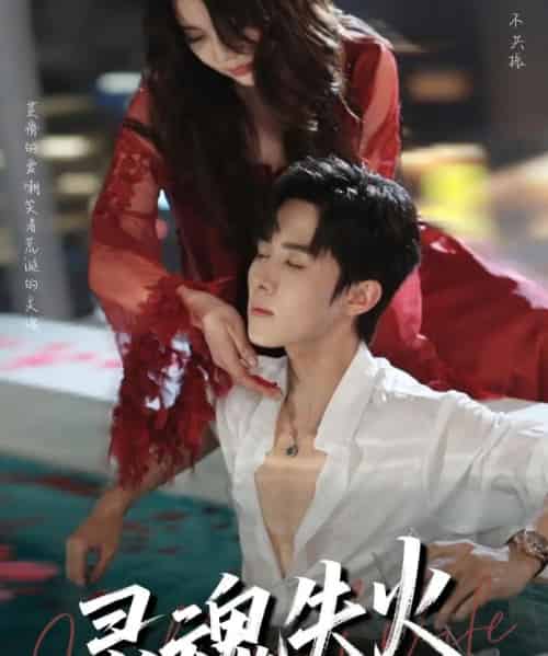 灵魂失火(72集)马芯妤&马士尧-搜外项目网