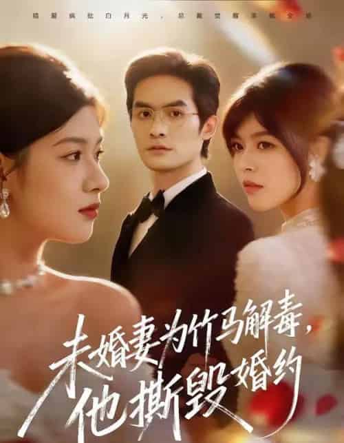 未婚妻为竹马解毒，他撕毁婚约（41集全）陈寻秋＆程新茸-搜外项目网